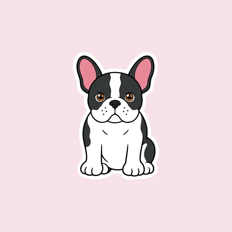 Frenchie s ušima
