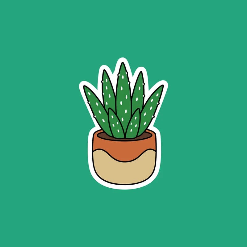 Aloe vera