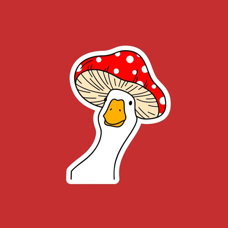 Husa muchomůrka